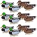 Flambeau Outdoors 8030SUV Storm Front 2 Mallard Decoy, Classic Floaters - 12-Pack