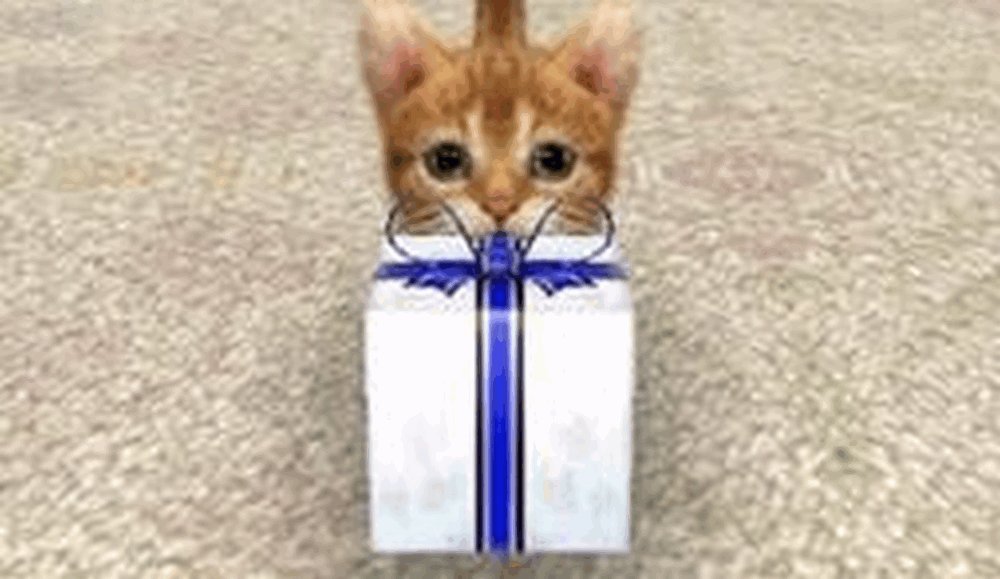 Nintendogs + Cats: Golden Retriever and New Friends