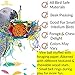 Bonka Bird Toys 1839 Foraging Star 7