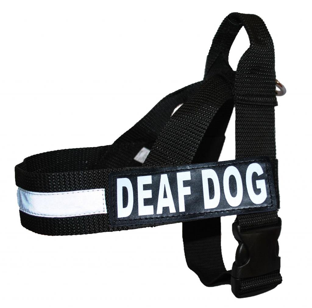 Doggie Stylz Deaf Dog Nylon Strap Service Dog Harness No Pull Guide Assistance Comes with 2 Reflective Deaf Dog Removable Patches. Please Measure Your Dog Before Ordering.