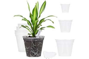 GREENPARA Transparent Plastic Planter 4/5 /6 inch Plant Nursery Pots with Drainage Hole Indoor Modern Decorative Containers for Plants, Herb, Flowers, and Cactus with 10pcs Plant Labels, 12pcs