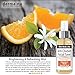 Natural Facial Toner with Vitamin C - Natural Anti Oxidant & Anti-Aging Face Wash for Women - Loaded with Powerful Antioxidants: Green Tea & Rose Hip Oil for Fine Lines & Wrinkles - Derma Nu - 4oz