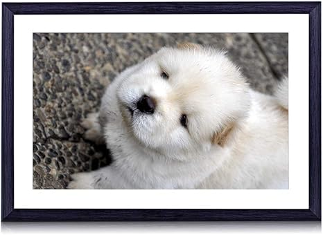 Amazon Co Jp 60cmx40cm 木製の黒色のフォトフレーム チャウチャウ子犬赤ちゃんライト 壁掛け 壁飾り 壁ポスター おしゃれ ウォールアート アートパネル 壁の絵 インテリア絵画 額縁 部屋飾り 装飾画 ホーム キッチン