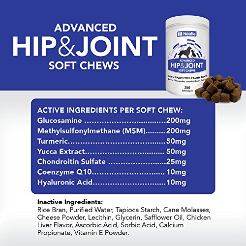 â¶ Glucosamine Chondroitin for Dogs - 250 Training Size Dog Treats - Daily Chewable Dog Glucosamine with Tumeric - MSM - Hip and Joint Soft Chews 250 ct -2 Month Supply - All Breeds and Sizes USA