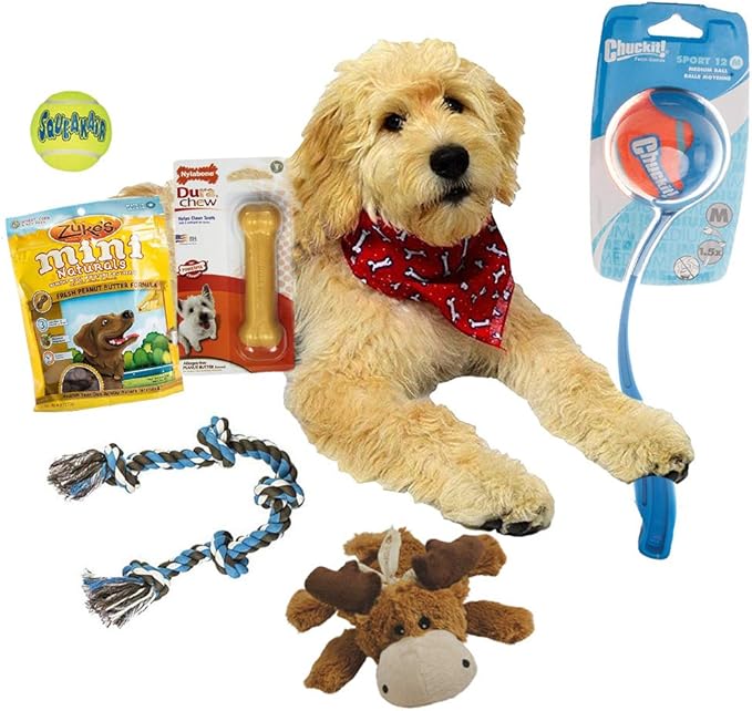 Open Road Goods Dog Gift Box/Dog & Puppy Gift Set