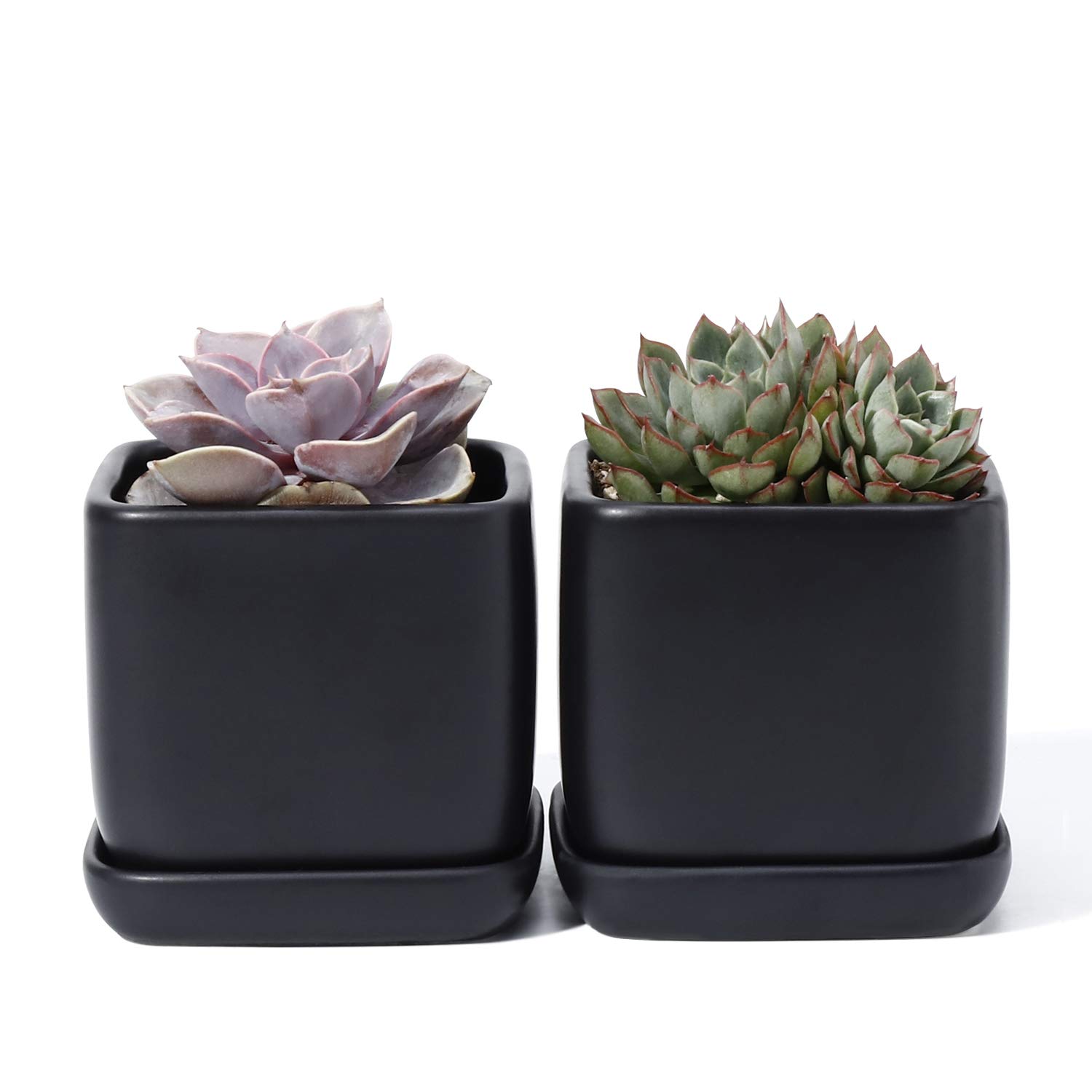 POTEY 051102 Succulent Pot with Drainage Hole &amp; Saucer - 3.5 Inch Glazed Ceramic Square Small Planters Indoor for Plants Cactus Succulent(Matte Black, Set of 2, Plants NOT Included)