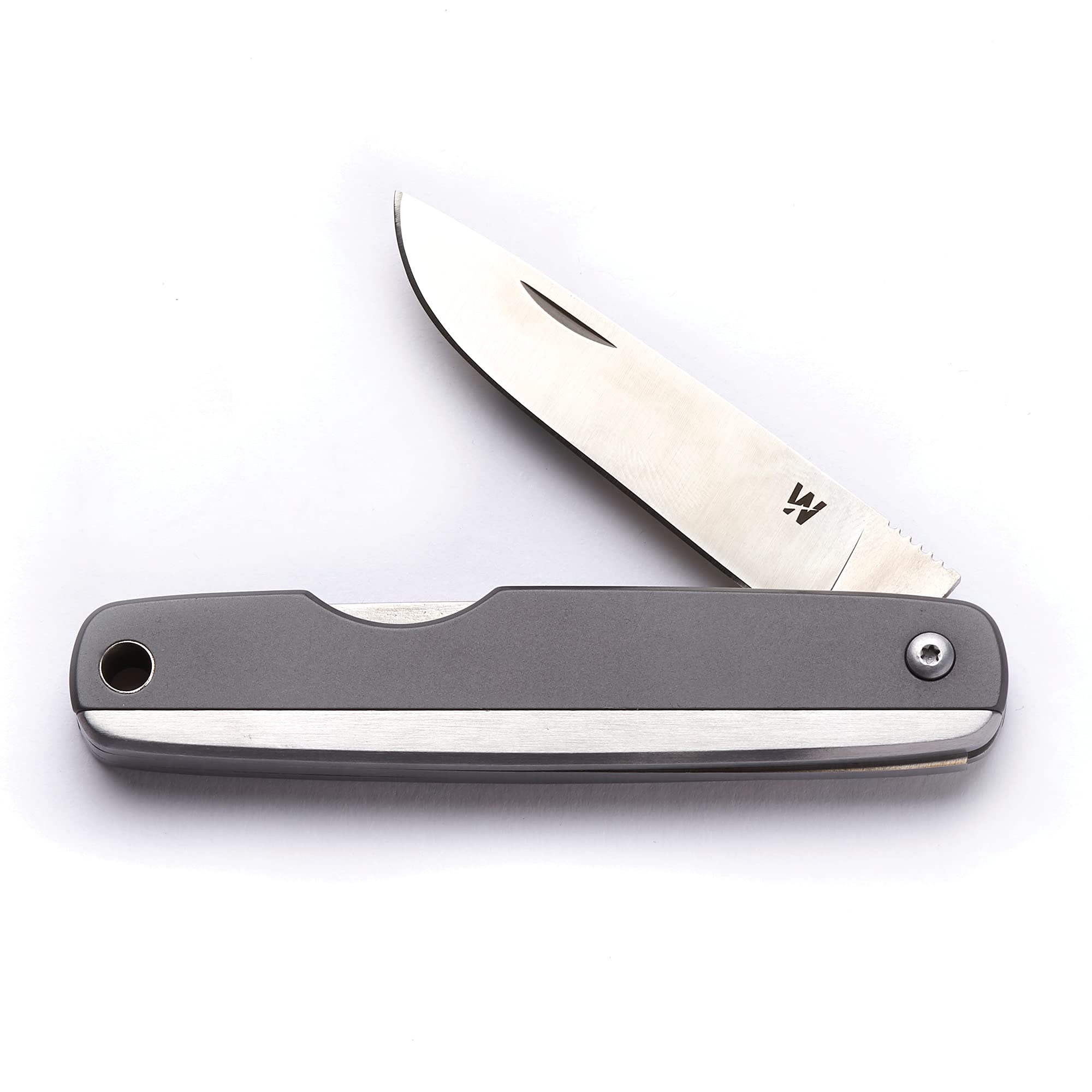 Whitby Pocket Knife, Stainless Steel Folding Knives Titanium Finish, Stylish High Performance, Non Locking EDC 2.25” Blade, Portable for Camping Hiking Backpacking — image 1
