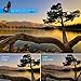 AMIR Phone Camera Lens, Upgraded Version Compatible iPhone 7 Plus Lens 110° Super Wide Angle Lens + 20X Macro Lens (Attached Together) Compatible with iPhone X / 7 Plus / 8, Most Smartphone