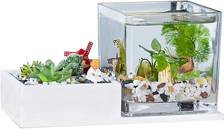 Xlsqw Ornamental Fish Tank Potted Plants Aquarium Miniature Landscape Fish Tank Aquaponic Water Garden Decor Wooden Glass For Room Office Home B Amazon Co Uk Kitchen Home