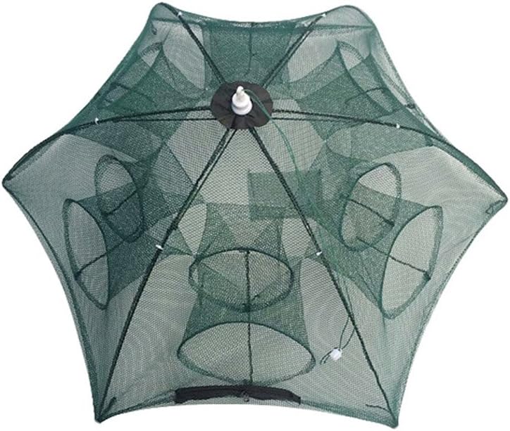 rete da pesca per minnows