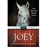 Joey: How a Blind Rescue Horse Helped Others Learn to See