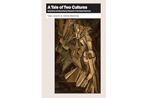 A Tale of Two Cultures: Qualitative and Quantitative Research in the Social Sciences