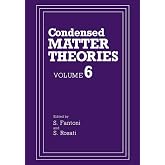Condensed Matter Theories: Volume 6