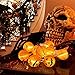 OurWarm Halloween Lights 10LED Pumpkin String Lights Battery Powered Orange Lanterns for Halloween Party Indoor Outdoor Decorations, 4 Ft