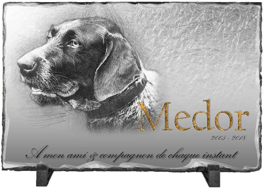 Personnalisable Photo Et Texte Plaque Tombale Pour Votre Chien 22 12 Cm Amazon Fr Animalerie Personnalisable Photo Et Texte Plaque Tombale Pour Votre Chien 22 12 Cm Amazon Fr Animalerie