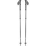 carbon whippet ski pole