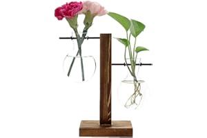 Feitore Glass Planter Bulb Vase, Desktop Plant Terrarium with Retro Solid Wooden Stand and Metal Swivel Holder for Hydroponics Plants Home Garden Office Wedding Decor - (2 Bulb Vase)