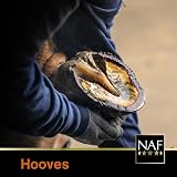 NAF Biotin Plus Refill High Strength Hoof Supplement 2kg Powder view 4