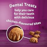 Whiskas Dentabites Cat Treats with Tasty Chicken 40 g Pack of 6 view 6