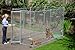 Lucky Dog 6-by-10-by-5 Foot CL61098 Easy Ship Chain-Link Box Kennel