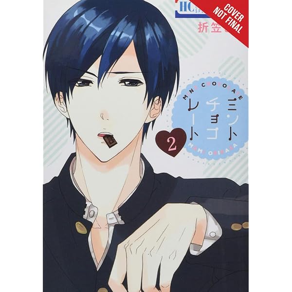 Mint Chocolate Manga Vol 15 Shoujo Fiction Books