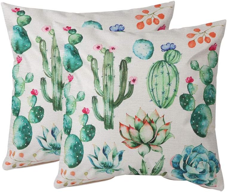 MissOwl 2 Pack Square Throw Pillow Case Cushion Cover for Car Sofa Room 18X18 Inch Home Office Decor Cactus