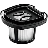 BISSELL Pet Hair Eraser Lithium Ion Hand Vacuum Replacement filter 2 pack, New Genuine OEM Part, 2579