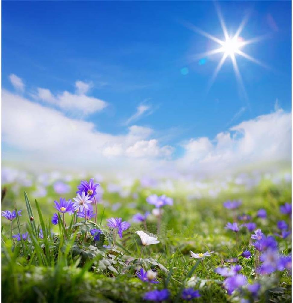 Generic Art Floral Spring Summer Background Blue Sky Sun Backdrops Fantasy Flowers Baby Photo Studio Props 2334