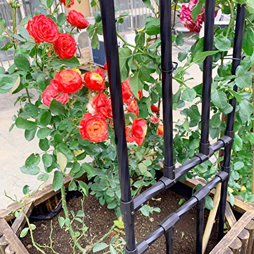 AAQQ Rosenbogen aus Metall, 2,4 M Gartengarten im Freien, Gartenlaube für Kletterpflanzen, Hochzeitsdekoration… – Bild 5