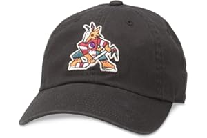 AMERICAN NEEDLE Unisex Blue Line NHL National Hockey League Team Baseball Hat Adjustable Buckle Strap Dad Cap