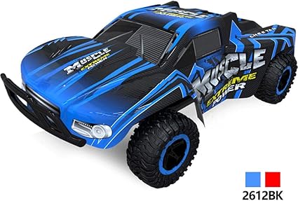 mini rc cars amazon