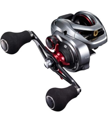 S Shimano Reel 19 Scorpion MGL 150 Right, Spinning Reels - Amazon