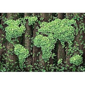Global Development and The Green Economy - Removable Wall Mural | Self-Adhesive Large Wallpaper - 66x96 inches
