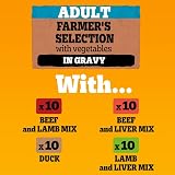 Pedigree Mixed Selection in Gravy 40 Pouches 100 g Mega Pack Adult Wet Dog Food view 7