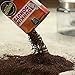 Dunkin' Donuts Bakery Series Chocolate Glazed Donut Flavored Ground Coffee, 11 Ounces
