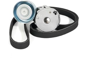 Dilomber 90K-39162A Serpentine Belt Drive Tensioner Component Kit Fit for Nissan Sentra 2.0L L4 DOHC, 2007-2012 Replace# Belt Tensioner 39162 11955JD20A 305396 89396, Serpentine Belt K060478 6PK1215