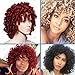 Short Curly Synthetic Hair Wigs Andromeda Afro Kinky Curly Heat Resistant Fiber Hair Wig for African American Black Women