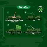 Envii Patch Repair Grass Seed Mix 400g Treats Up to 50 Patches UK Climate view 6