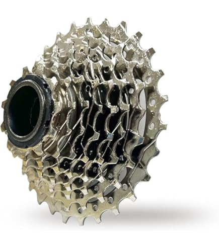 Amazon.com : Sunrace Freewheel 8 Speed 13-34 Teeth : Sports & Outdoors