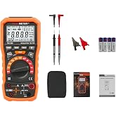 Megohmmeter, Insulation Resistance Tester, 50V-1000V Up to 100G&Omega; | Digital Megohmmeter, Multimeter,50V/100V/250V/500V/1000V, Resistance Up to 100G&Omega; with PI, DAR, Frequency, Low Voltage Test