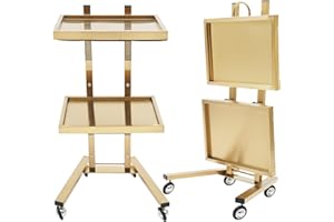 PINELICORN 2 Tier Metal Rolling Cart, Stainless Steel Salon Tray with Wheels, Foldable Utility Carts, Folding Salon Tray Trolley for Tattoo (Golden)