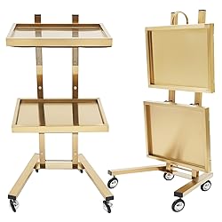 2 Tier Metal Rolling Cart, Stainless Steel Salon