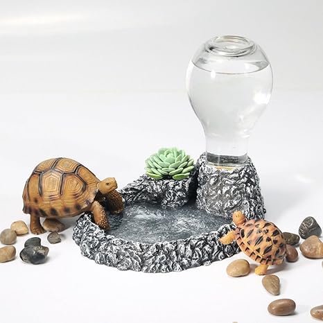 Amazon Com Urijk Automatic Reptile Water Dispenser Water