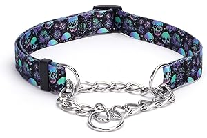 Pimaodog Martingale Dog Collar with Stainless Steel Chain - Limited Chain Cinch Training Collar for No Pull Training Dog - Flower Multicolor Cute Patterns - Premium No Slip Collar (L, Skull)