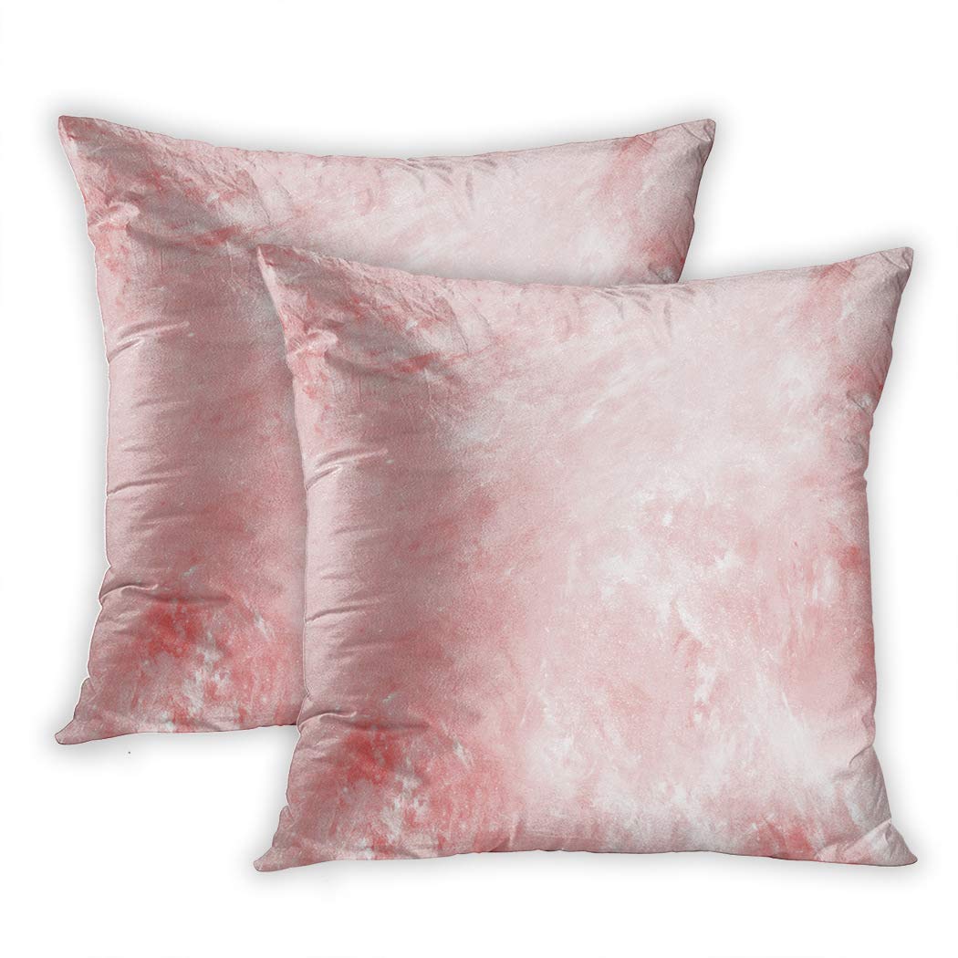 Qryipd Set of 2 Throw Pillow Covers Abstract Marble Texture Fractal in Light Red Fantasy Digital Art Rendering Comfortable Print Sofa Bedroom Polyester Hidden Zipper Pillowcases 20x20 Inch