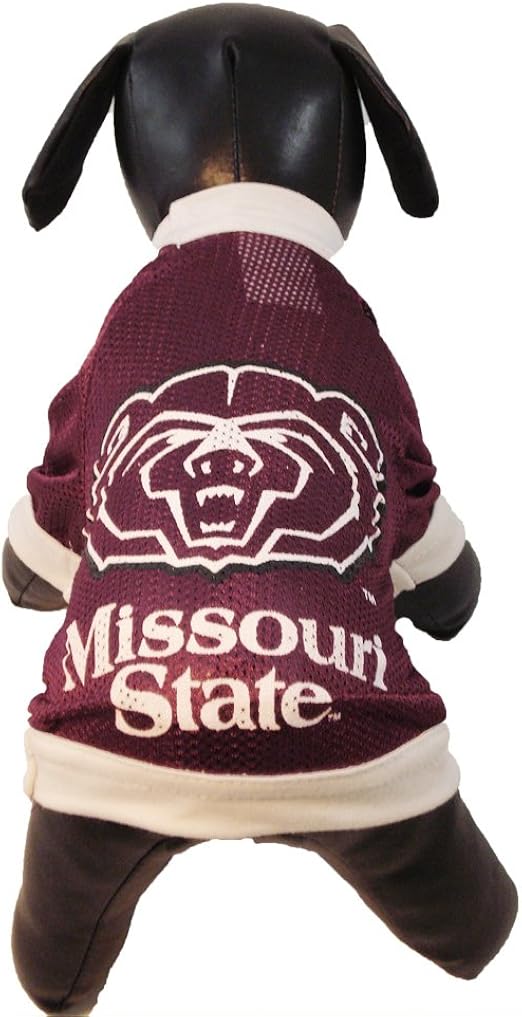 dog bears jersey