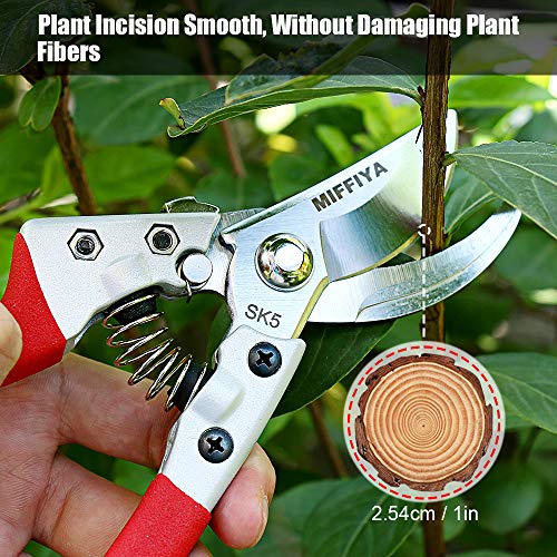 Professional Hand Pruning Shears Set, Bypass Gardening Shears with Stainless Steel / SK-5 High Carbon Steel, 1'' Cutting Capacity, Suitable for garden art, trimming branches, flowers, vines, etc