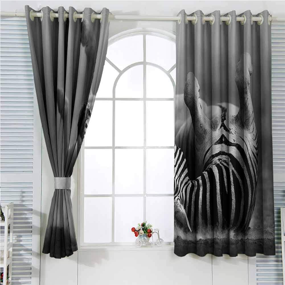 Amazon.com: hengshu Wildlife Decor Blackout Shades Curtains Zebra