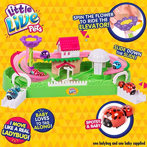 Little Live Pets Lil' Ladybug Garden Spotsy Baby in Oman