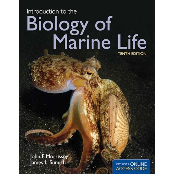 ヤツコ&チョウチョウウオの世界MarineFull courseBookVol2 ヤツコ&チョウチョウウオの世界MarineFull courseBookVol2